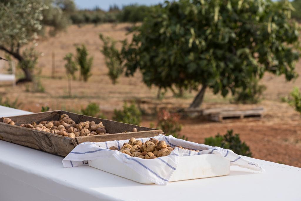 Pensao Agricola Vendégház Cabanas De Tavira Kültér fotó